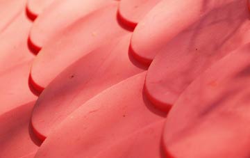 Levens Green plastic roof costs